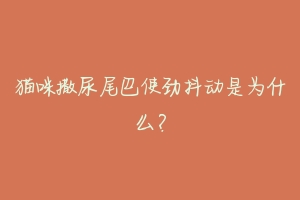 猫咪撒尿尾巴使劲抖动是为什么?