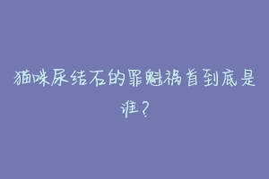 猫咪尿结石的罪魁祸首到底是谁?