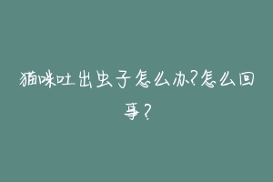 猫咪吐出虫子怎么办?怎么回事?