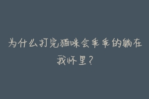 为什么打完猫咪会乖乖的躺在我怀里?