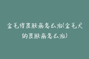 金毛得皮肤病怎么治(金毛犬的皮肤病怎么治)-动物百科