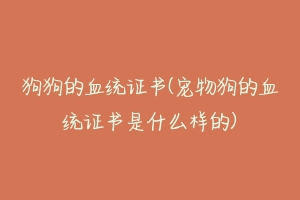 狗狗的血统证书(宠物狗的血统证书是什么样的)-动物百科