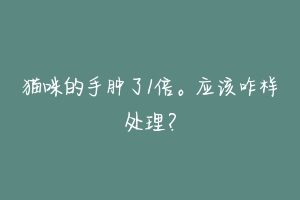 猫咪的手肿了1倍。应该咋样处理？-动物百科