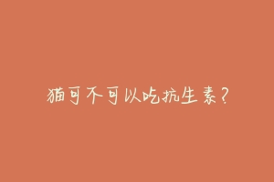 猫可不可以吃抗生素?-动物百科