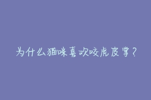 为什么猫咪喜欢咬虎皮掌？-动物百科