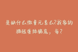 是缺什么微量元素么?我家的猫超爱舔锅底，每？-动物百科