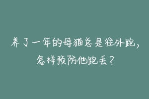养了一年的母猫总是往外跑,怎样预防他跑丢?-动物百科
