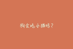 狗会吃小猫吗?-动物百科