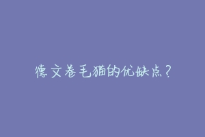 德文卷毛猫的优缺点？-动物百科