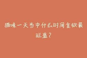 猫咪一天当中什么时间食欲最旺盛?-动物百科