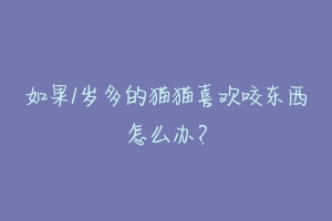 如果1岁多的猫猫喜欢咬东西怎么办？-动物百科