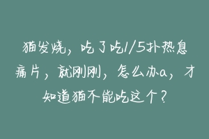 猫发烧，吃了吃1/5扑热息痛片，就刚刚，怎么办a，才知道猫不能吃这个？-动物百科