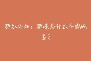 猫奴必知：猫咪为什么不能吃素？-动物百科