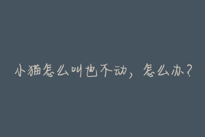 小猫怎么叫也不动,怎么办?-动物百科