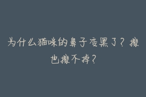 为什么猫咪的鼻子变黑了？擦也擦不掉？-动物百科