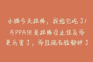 小猫今天拉稀,我给它吃了1片PPA但是拉稀没止住反而更厉害了,而且现在脸都肿了,急死我了,怎么办啊?-动物百科