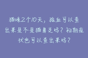 猫咪2个10天,验血可以查出来是不是猫鼻支吗?初期症状也可以查出来吗?-动物百科