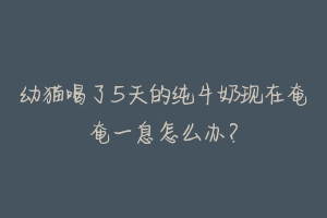 幼猫喝了5天的纯牛奶现在奄奄一息怎么办？-动物百科