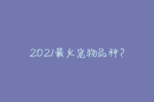 2021最火宠物品种?-动物百科