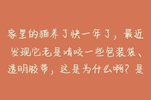 家里的猫养了快一年了,最近发现它老是啃咬一些包装袋、透明胶带,这是为什么啊?是不是异食癖?-动物百科