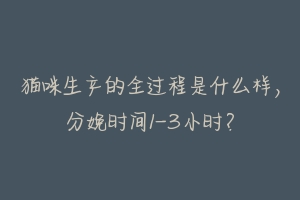 猫咪生产的全过程是什么样,分娩时间1-3小时?-动物百科