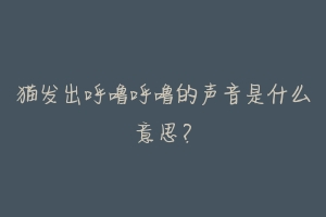 猫发出呼噜呼噜的声音是什么意思?-动物百科
