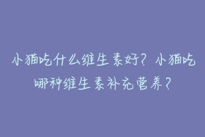 小猫吃什么维生素好?小猫吃哪种维生素补充营养?-动物百科