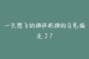 一只想飞的猫谁把猫的乌龟偷走了?-动物百科