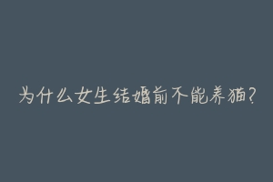 为什么女生结婚前不能养猫?-动物百科