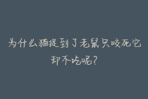 为什么猫捉到了老鼠只咬死它却不吃呢?-动物百科