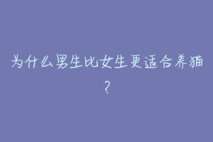 为什么男生比女生更适合养猫?-动物百科