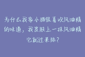为什么我家小猫很喜欢风油精的味道,我皮肤上一抹风油精它就过来舔?-动物百科