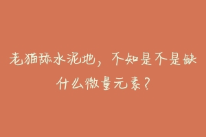 老猫舔水泥地,不知是不是缺什么微量元素?-动物百科