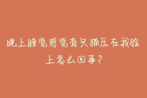 晚上睡觉感觉有只猫压在我脸上怎么回事?-动物百科