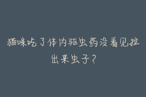猫咪吃了体内驱虫药没看见拉出来虫子?-动物百科