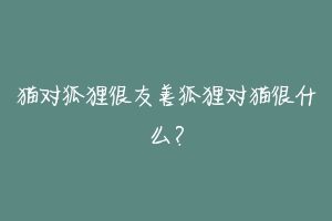 猫对狐狸很友善狐狸对猫很什么?-动物百科