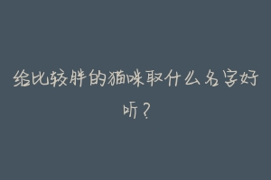 给比较胖的猫咪取什么名字好听?-动物百科