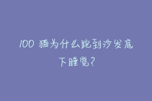 100 猫为什么跑到沙发底下睡觉?-动物百科