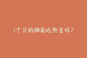 1个月的猫能吃熟食吗?-动物百科