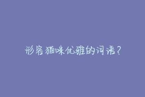 形容猫咪优雅的词语?-动物百科