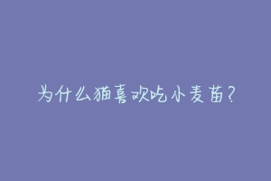 为什么猫喜欢吃小麦苗？-动物百科