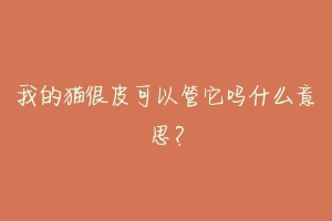 我的猫很皮可以管它吗什么意思?-动物百科