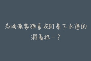 为啥俺家猫喜欢盯着下水道的洞看捏–？-动物百科