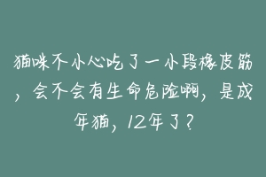 猫咪不小心吃了一小段橡皮筋,会不会有生命危险啊,是成年猫,12年了?-动物百科