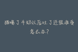 猫喝了牛奶以后吐了还很难受怎么办?-动物百科