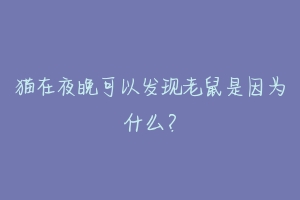 猫在夜晚可以发现老鼠是因为什么？-动物百科