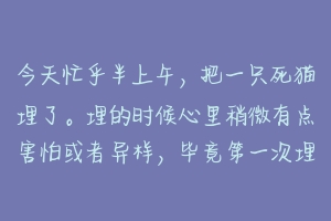 今天忙乎半上午,把一只死猫埋了。埋的时候心里稍微有点害怕或者异样,毕竟第一次埋死物?-动物百科