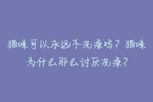 猫咪可以永远不洗澡吗?猫咪为什么那么讨厌洗澡?-动物百科