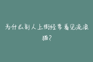 为什么别人上街经常看见流浪猫?-动物百科