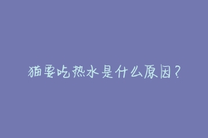 猫要吃热水是什么原因?-动物百科